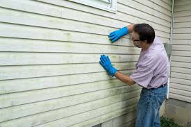 Best Siding Repair  in Durand, MI